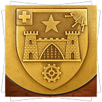 Customized Medals - Relief - 2D Shield