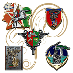 Insignias_and_Pins_Additional_Pieces
